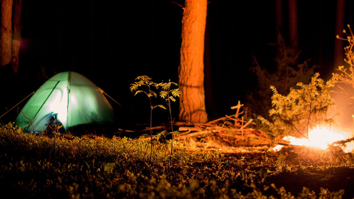 A sleeping bag inside a tent in the early morning